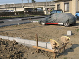 実は・・その1