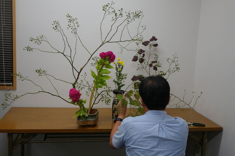 廻り花6
