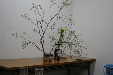 廻り花2