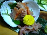 赤貝