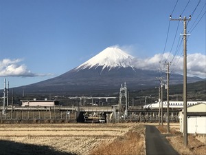 IMG_5377