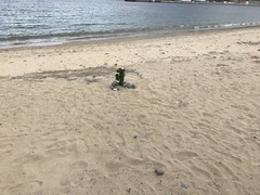 IMG_0521