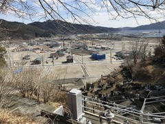 IMG_0482