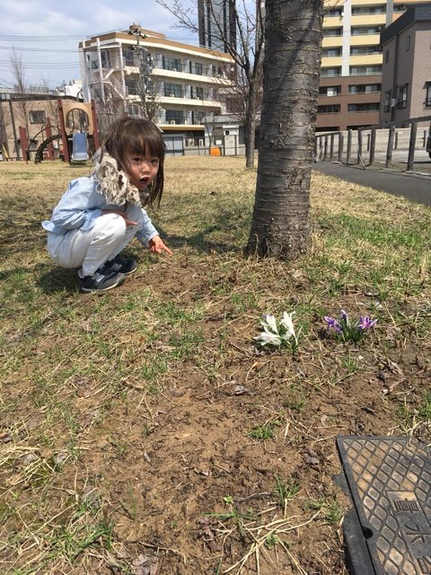 2017-04-16-11-54-25
