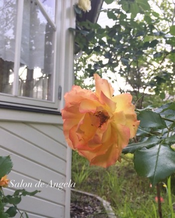 2017-06-23-11-28-47