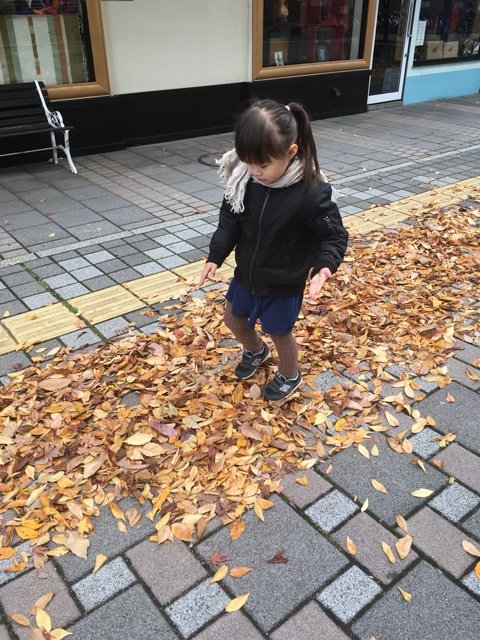 2017-11-10-08-48-50