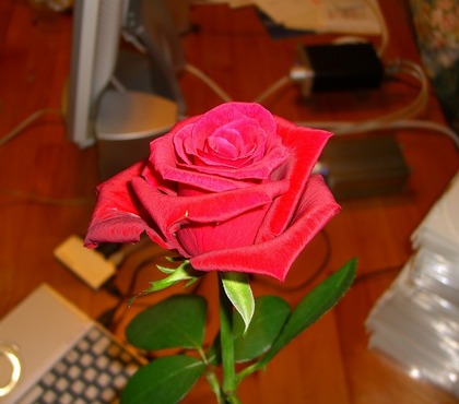 RED ROSE MUSIC