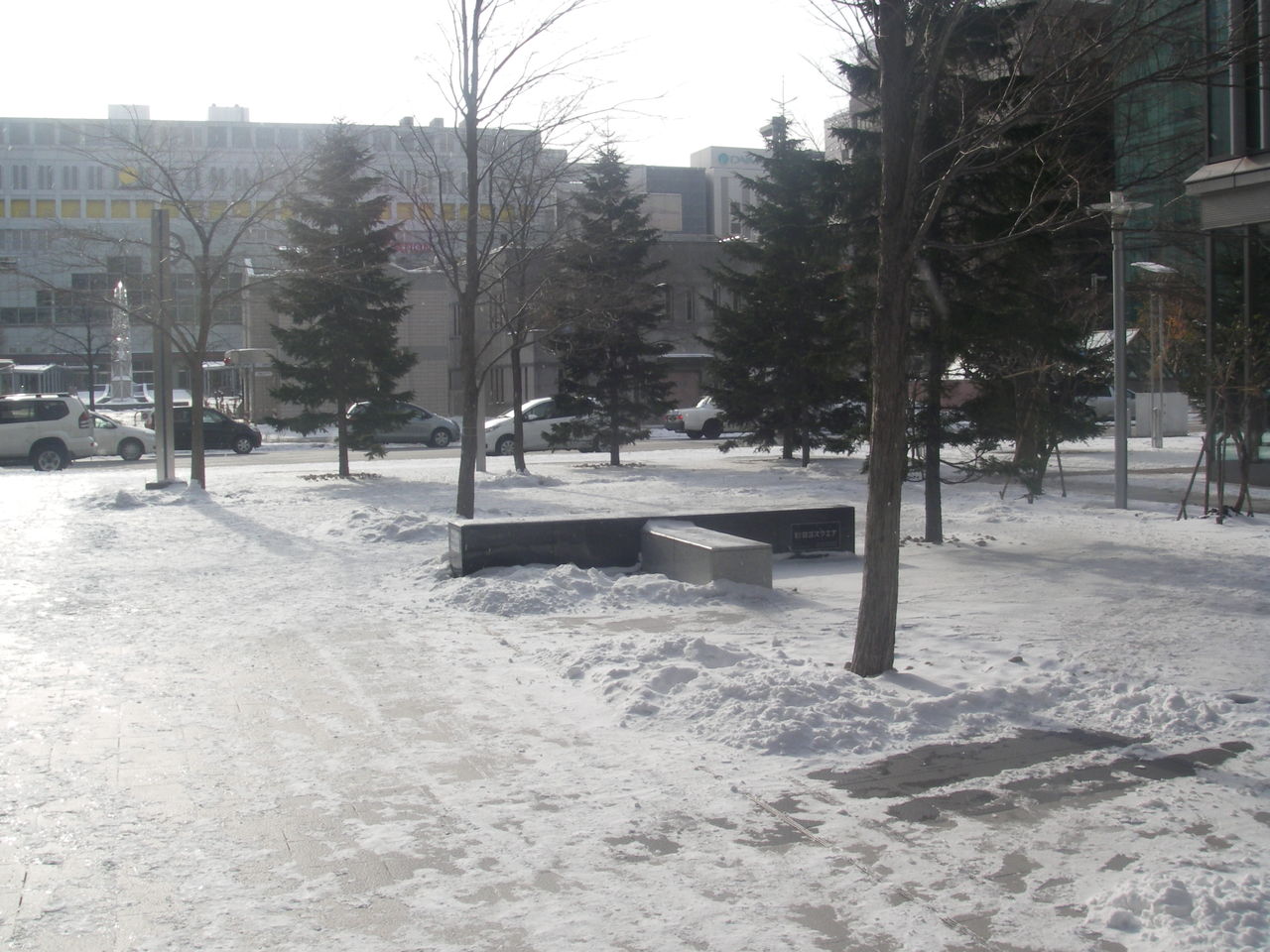 IMGP3317