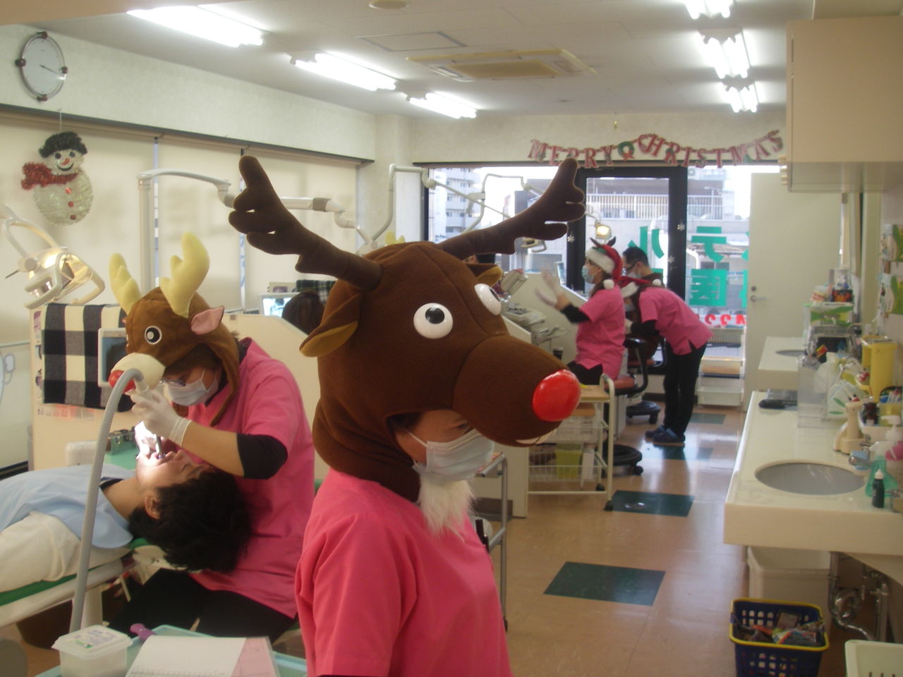 IMGP3346