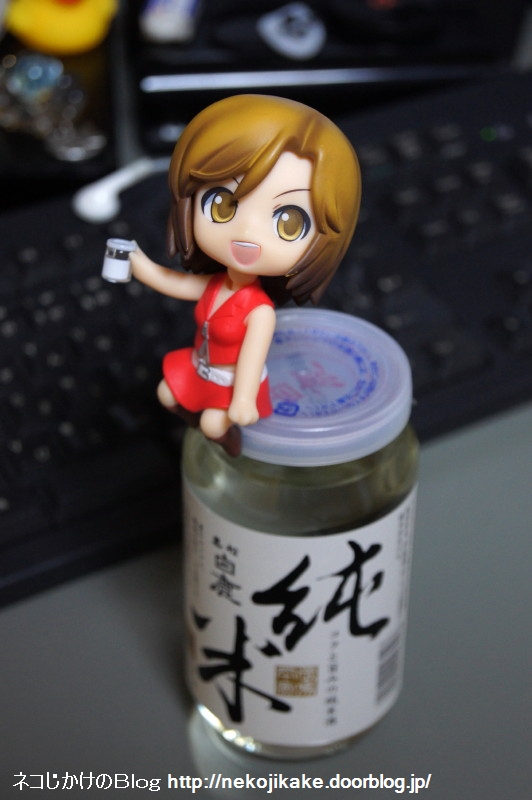 2017051601¥«¥Ã¥×¼ò¤ÎMEIKO¡£