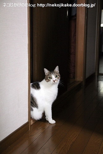 どこ行くん?