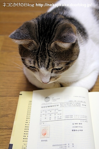 はんこ押してあるね。検印って言うらしいよ。