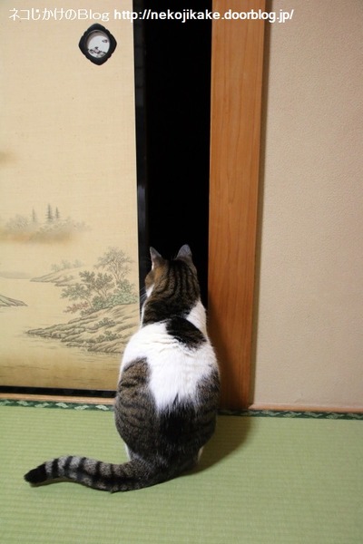 2015010501¤µ¤Æ¤½¤í¤½¤í¡£