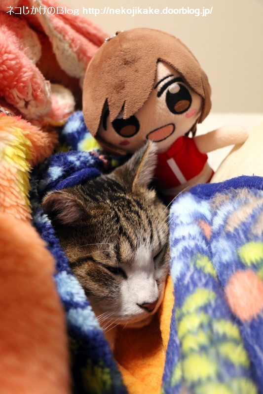 2019020303°Â̲˸³²¡££²