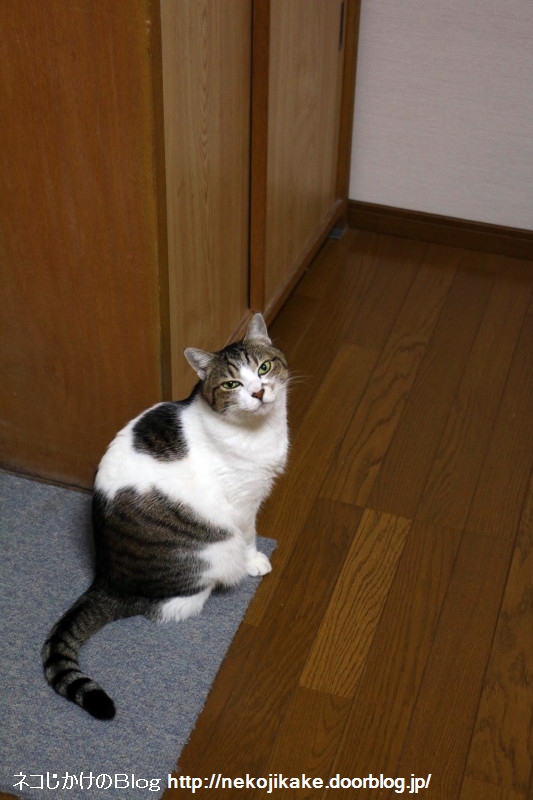 2017011503でも腹は減る。