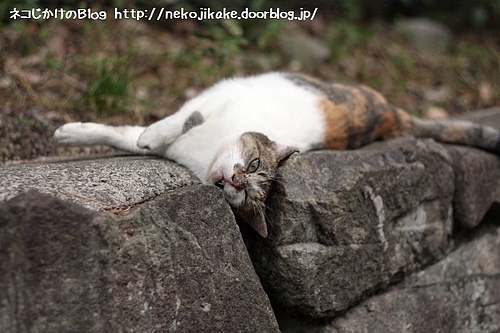 はさまった・・・。
