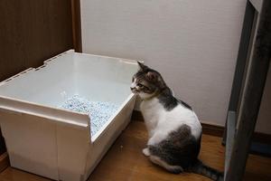 今日が何の日かわかってる。シマ3