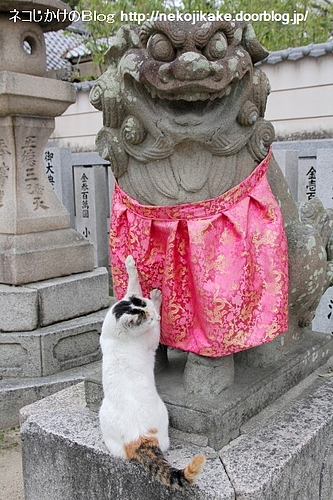 ·ì¤ÏÁ褨¤Ê¤¤¡£