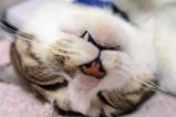 Çò¤¤»õ¤Ã¤Æ¤¤¤¤¤Ê¡¦¡¦¡¦¡£¥·¥Þ