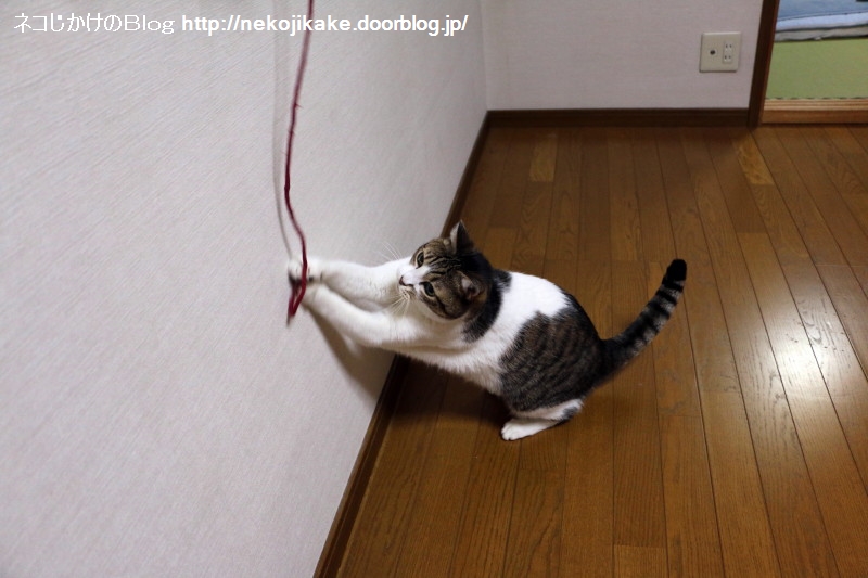 2015050708ÆÃ¼ì·±Îý¡££±