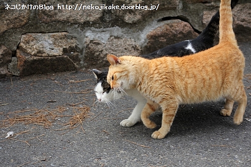プッシュ!