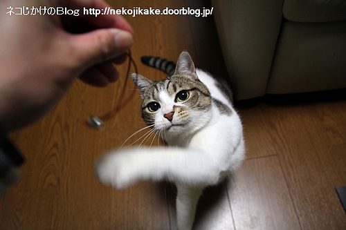 目にも留まらぬ早業。