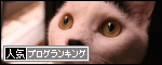 人気ブログランキングへ