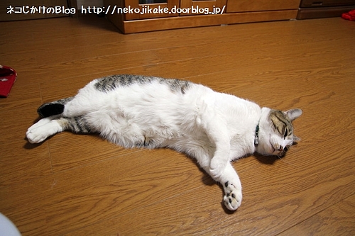 コタツはないけれど。
