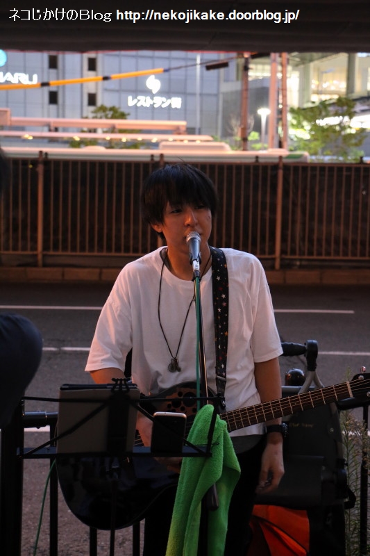 2017081809¥Ï¥ä¥·¥±¥¤Ï©¾å¥é¥¤¥Ö2017 inÂçºå¡££²