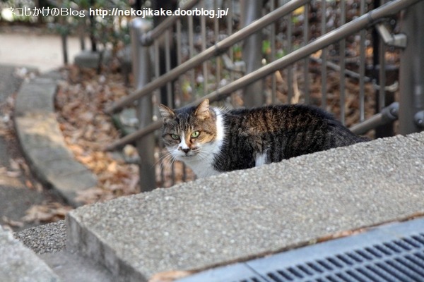 2014010202射るような視線。