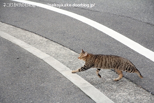歩道への道。