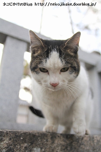じっと狙いを定めて・・・。