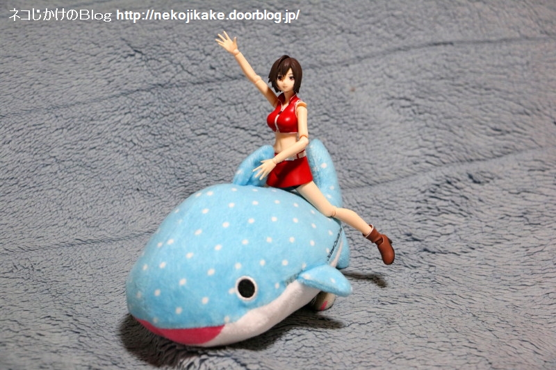 2019020804ジンベエザメに乗ったMEIKO。