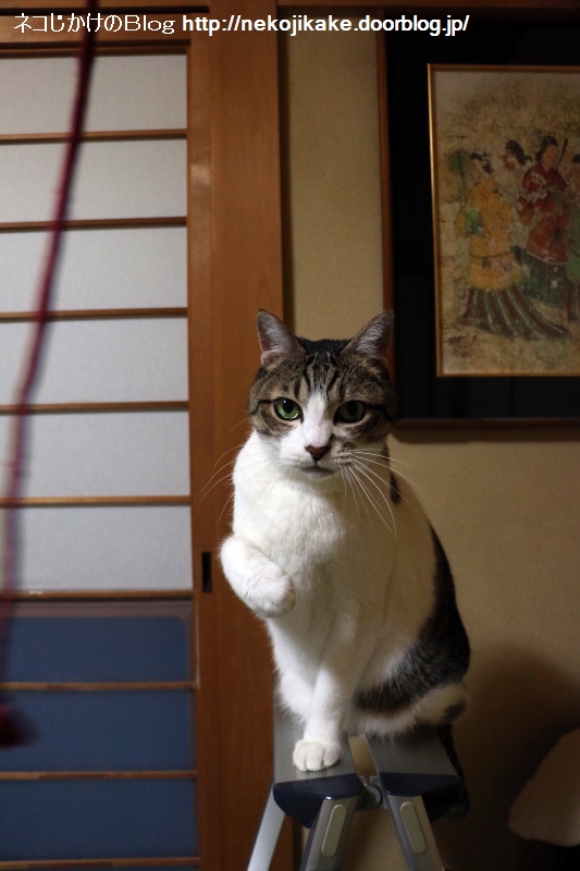 2015050710ÆÃ¼ì·±Îý¡££³