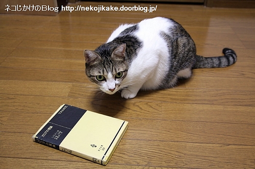 この本をどうしろと?