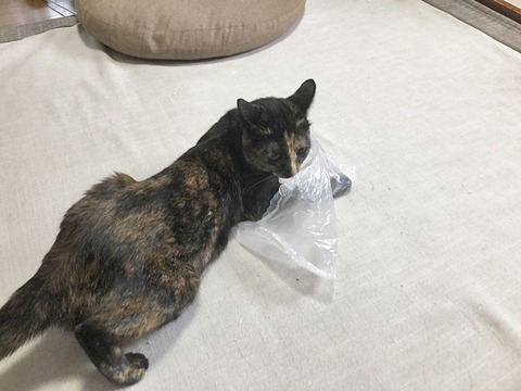 マロン