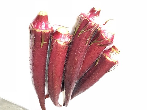 オクラ