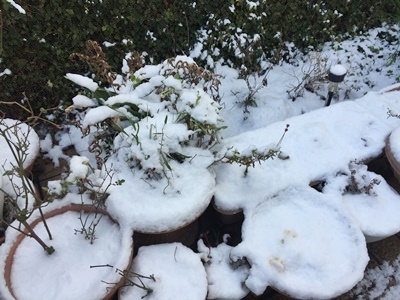 page雪2