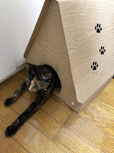 マロン