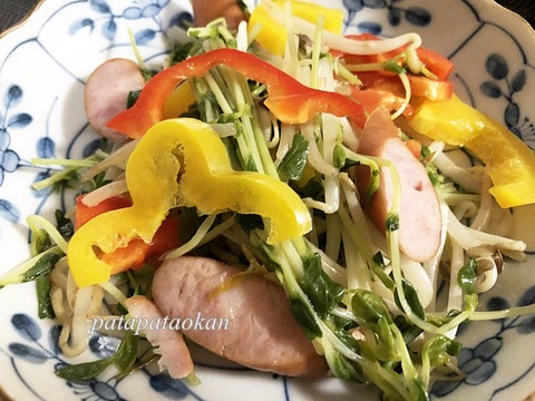 豆苗