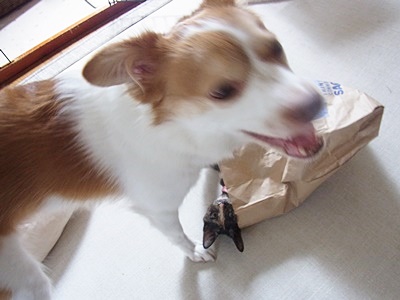 pageお二人