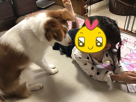 お二人