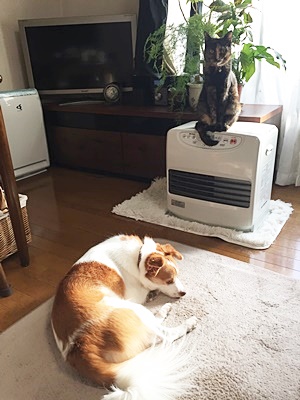 pageお二人