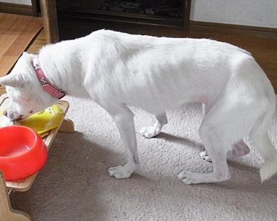 yuki_20140603151418c75.jpg