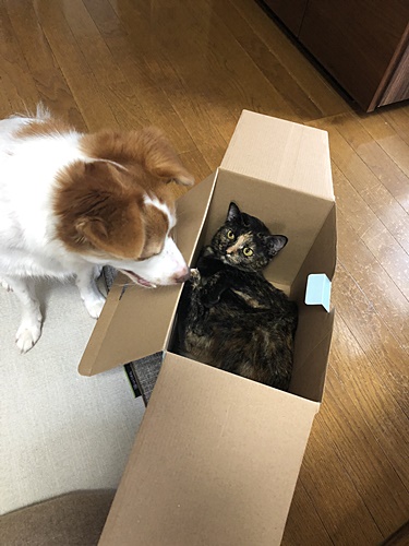 お二人