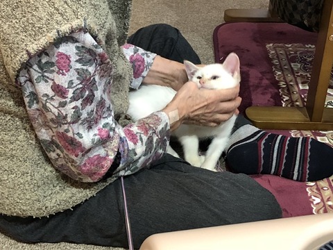 母とロア