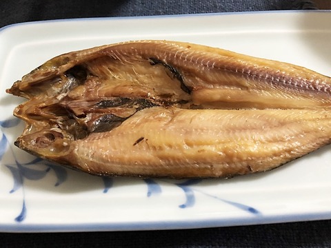 ホッケ