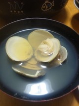 510a6e6b.jpg