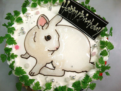 うさぎのイラストケーキ 誕生日 記念日用にオーダーできるデコレーションケーキ