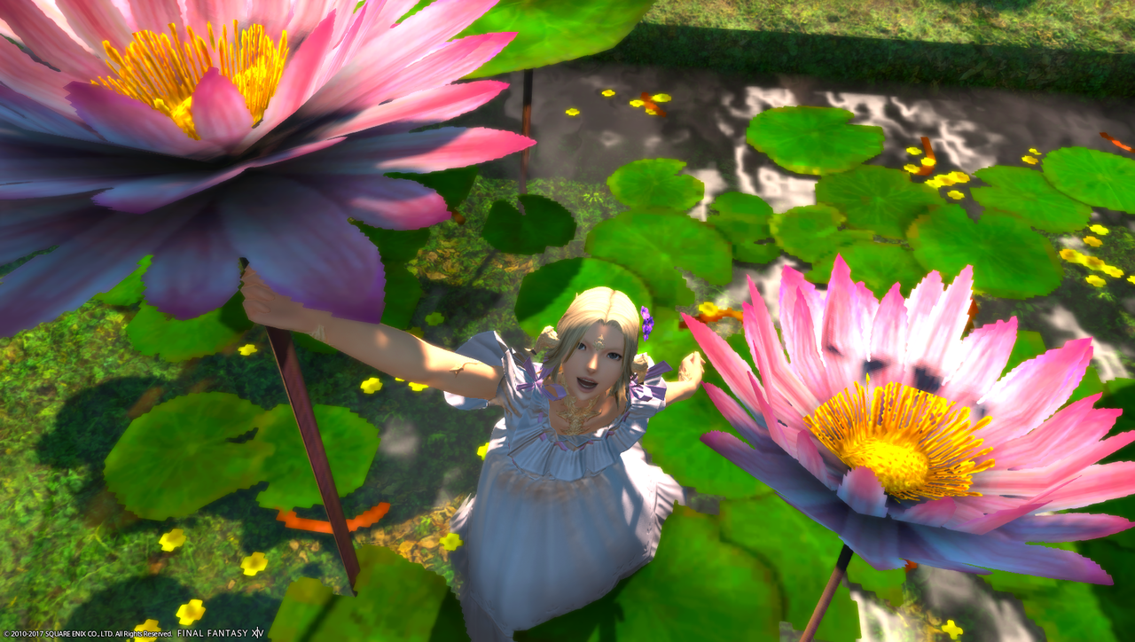 ffxiv_20170812_220015